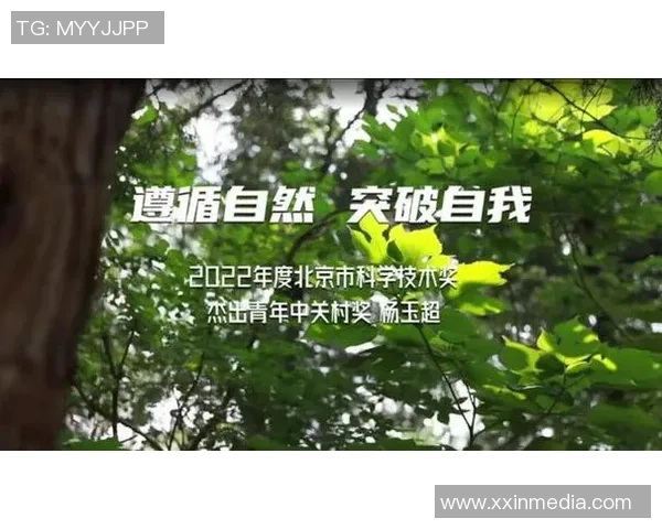 成都羽毛球队进攻革新之路：探索新战术与技术提升的全面分析