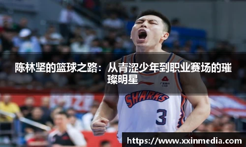 陈林坚的篮球之路：从青涩少年到职业赛场的璀璨明星